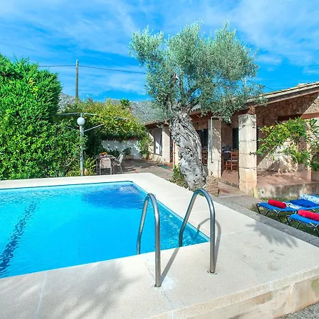 Owl Guillermo - Rustic Pollenca